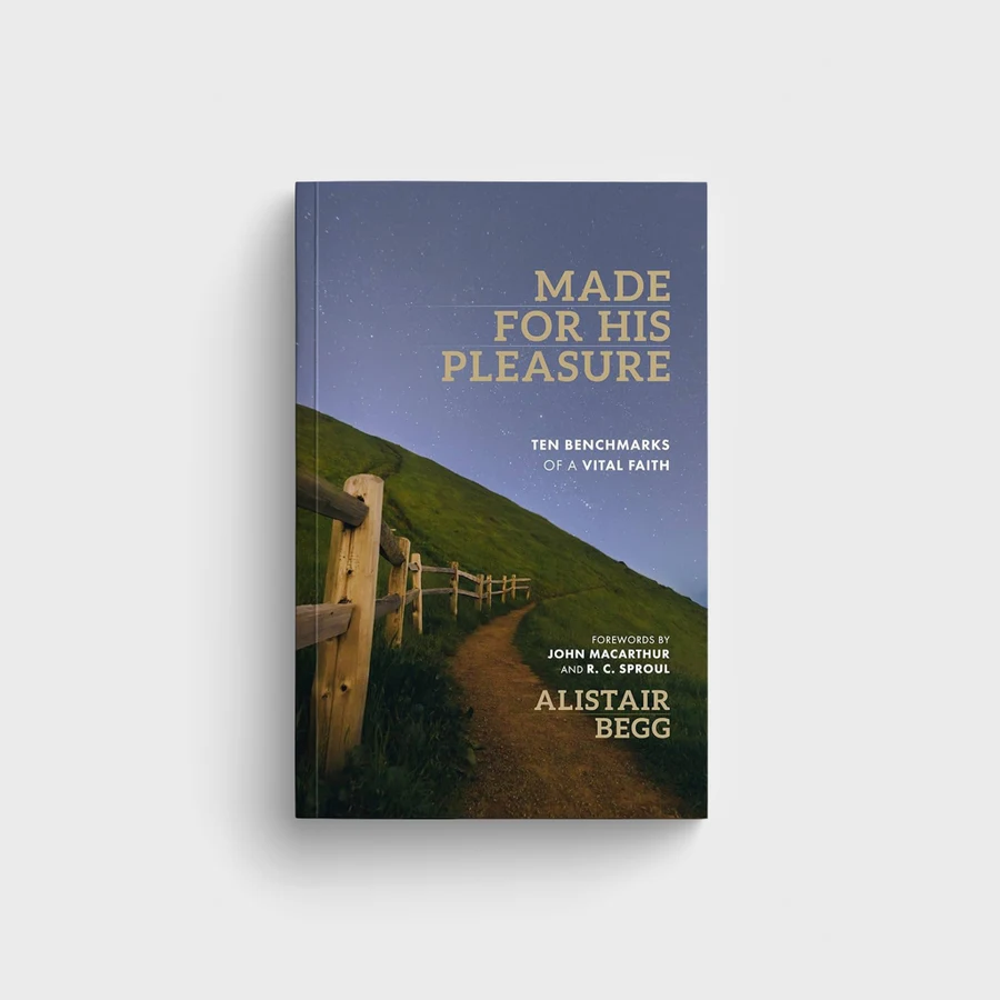 Made For His Pleasure (English)